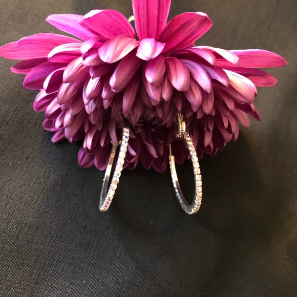 Silver / Multicolored Stones - Loop Earrings - Picture 5 of 7